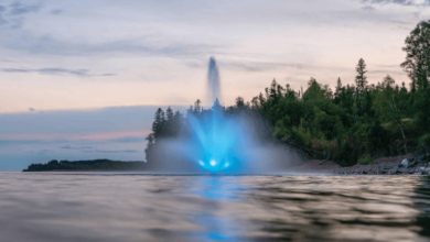 The Ultimate Guide to Selecting Kasco Fountains for Your Property