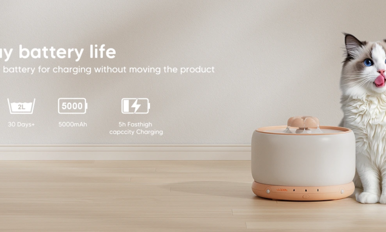 wopet pet water fountain for healthy hydration