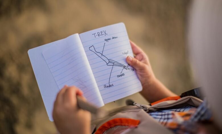 curiosity evoking intriguing handle