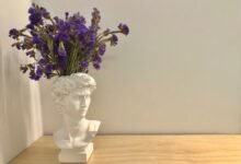 david bromstad s intriguing twin