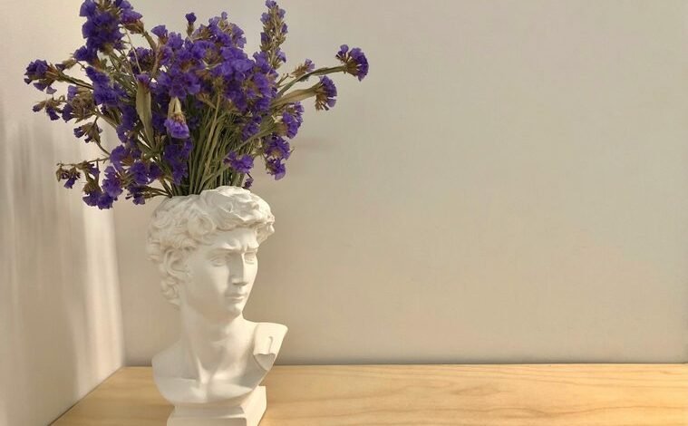 david bromstad s intriguing twin