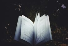 inspiring curiosity through storytelling