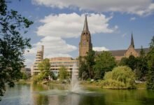 intriguing name sparks curiosity