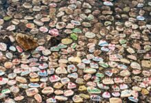 unique and attention grabbing name