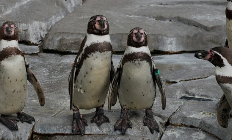 unique and memorable username